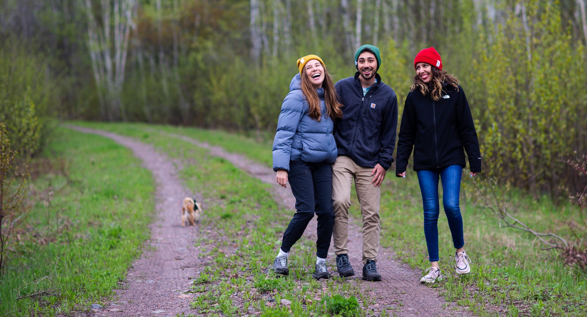 FLØRT gold, green, red beanies